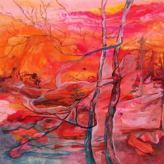 THE PINK OUTSIDE MY WINDOW